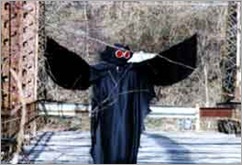 mothman1 mothman1