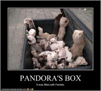 funny-pictures-ferrets-are-in-box