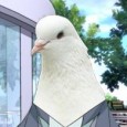Episode 114 – Pigeon Friend Jack and Kelly hold down the fort this week and we swear they talk about games somewhere during the show.. Really!