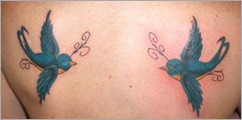 swallows.jpg swallows.jpg