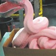 Episode 147 – Pink Slime is Made of People On this episode we talk about about EA being terrible people, Arkham Origins, and a river of pink slime