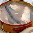 Episode 145 – WTF Surströmming On this weeks episode Jack reviews Bioshock Infinite and we talk about fish.